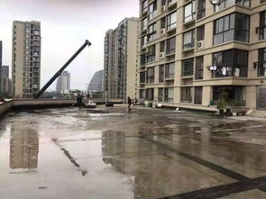 甬江打響市級(jí)精品路大閘路段創(chuàng)建第一槍，精細(xì)化工程管理是關(guān)鍵